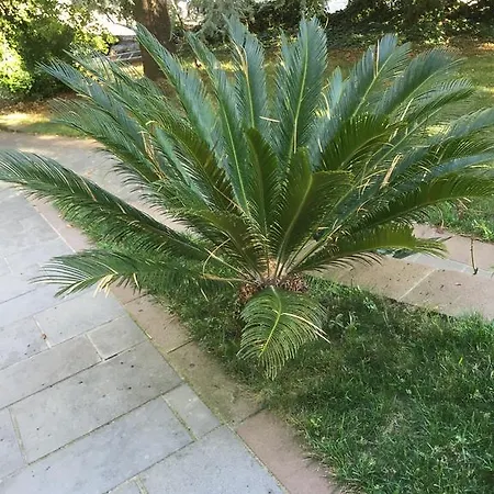 Casa Blu Oda ve Kahvaltı *