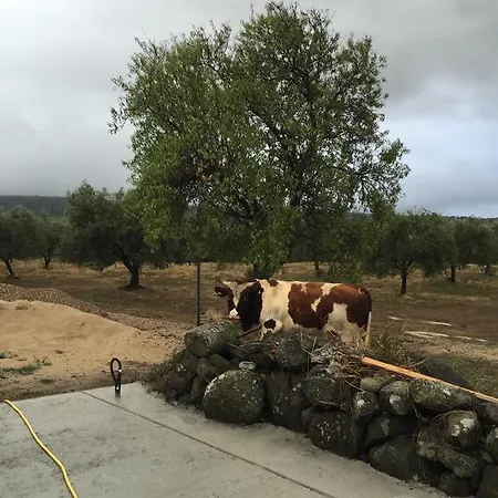 Casa Blu Oda ve Kahvaltı *